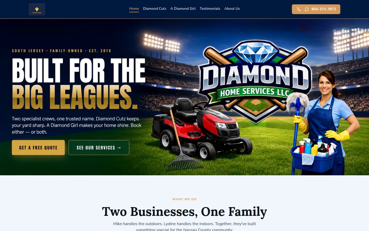 Diamond Home Services homepage preview